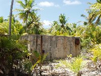 Another bunker lost amidst the lush tropical vegetation...