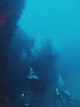 The USS Anderson is a deep wreck at 50 + meters but even at this depth there is a lot of natural light...