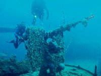 Divers inspect a light anti-aircraft gun...