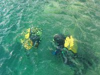 Martin and Dennis descend on one of Martin's rebreather qualifying dives...