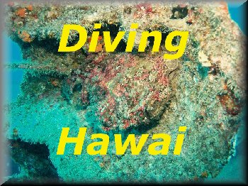 Click here to visit our Hawai diving piccies page...
