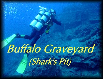 Click me to open our photo page of the "Buffalo Graveyard" dumping ground...