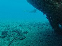 The overhanging bows of the Mahi wreck, Hawaii...