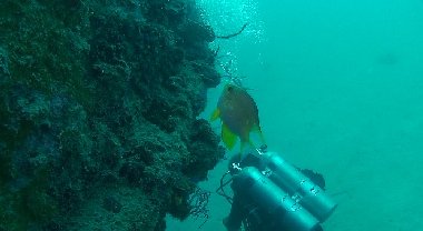 The diver passes the camera a few metres deeper...