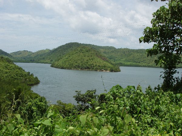 Breath taking view of some of the dense jungle around Busuanga's shore line...