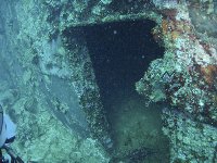 Another large clam by a doorway into the wreck...