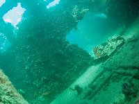 A really big W-word thing about 6 feet long inhabits a bulkhead within the wreck - a regular ring clencher if ever I saw one!