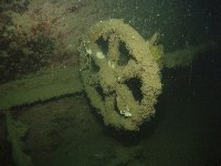 The Olympia Maru has many interesting bits of scrap metal for wreckies' edification!