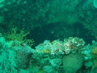 Hard and soft corals and marine vegetation grow around a hatch way into the ship...