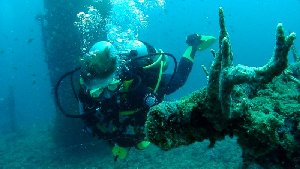 As with all the Coron Bay wrecks coral covers almost every external surface...