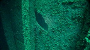 A bulkhead within the wreck...
