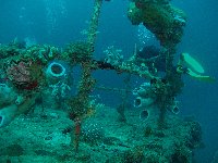 Soft and hard corals claoking the stern of Nippo Maru at 32 meters...